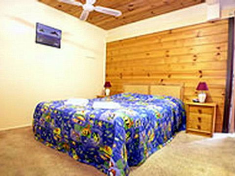Shelly Beach Cabins - Grafton Accommodation 1