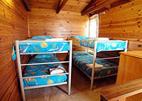 Shelly Beach Cabins - Grafton Accommodation 7