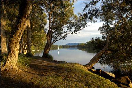 South West Rocks Tourist Park - Grafton Accommodation 2