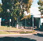 Tamwell Motel - Grafton Accommodation