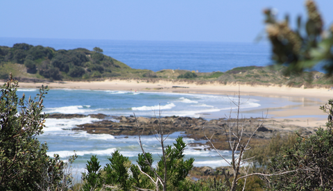 The Bowlo Holiday Cabins - Grafton Accommodation 0