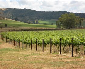 Acacia Park Farm House - Grafton Accommodation 7