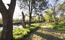 Fossickers Tourist Park - Grafton Accommodation 5