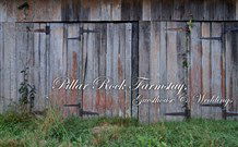 Pillar Rock Farm - Grafton Accommodation 2