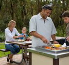 Port Stephens Treescape - Grafton Accommodation