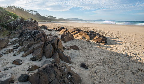 Racecourse Campground - Grafton Accommodation 1