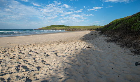 Racecourse Campground - Grafton Accommodation 2