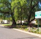 Spicer Park Caravan Park - Grafton Accommodation
