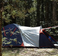 Thungutti campground - Grafton Accommodation