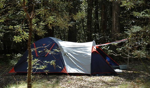 Thungutti Campground - Grafton Accommodation 0