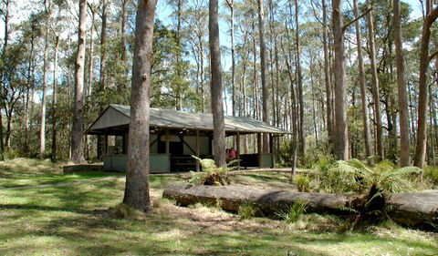 Thungutti Campground - Grafton Accommodation 1