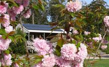 Tyrra Cottage Bed And Breakfast - Grafton Accommodation 2