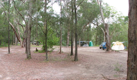 Wallingat River Campground - Grafton Accommodation 0
