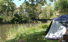 Williams River Holiday Park - Grafton Accommodation 0