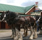 Araluen Valley Hotel - Araluen - Grafton Accommodation