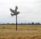 Gulargambone Hotel - Gulargambone - Grafton Accommodation