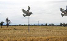 Gulargambone Hotel - Gulargambone - Grafton Accommodation 0