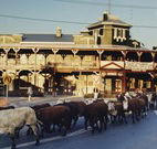 The Commercial Hotel Coonamble - Coonamble - Grafton Accommodation