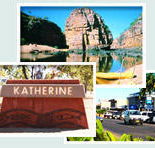 Red Gum Tourist Park - Grafton Accommodation