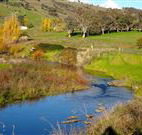 Ralda's Cottage - Grafton Accommodation
