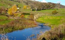 Ralda's Cottage - Grafton Accommodation 0