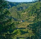Yarralong BnB and Farm Stay - Grafton Accommodation