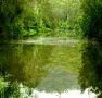 Mangrove Yoga Ashram - - Grafton Accommodation