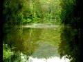 Mangrove Yoga Ashram - - Grafton Accommodation 0