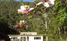 Mangrove Yoga Ashram - - Grafton Accommodation 2