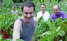 Mangrove Yoga Ashram - - Grafton Accommodation 8