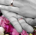 Salisbury Lodges and Araluen Restaurant - Grafton Accommodation