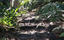 Studio Cottages - Grafton Accommodation 5