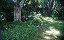 Tallawalla Retreat - Grafton Accommodation 2
