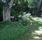 Tallawalla Retreat - Grafton Accommodation