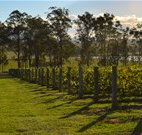 Hidden Treasure - Grafton Accommodation