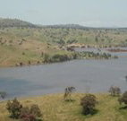 In The Heart Of Husky - Grafton Accommodation