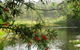 Crystal Waters Village Camping Area - thumb 2