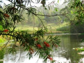 Crystal Waters Village Camping Area - Grafton Accommodation 2