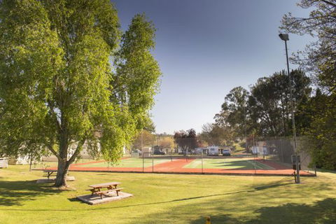 Fossickers' Tourist Park - Grafton Accommodation 4