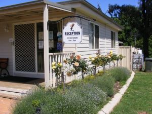 Fossickers' Tourist Park - Grafton Accommodation 0