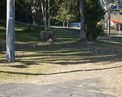 Tyndale Tourist Park & Roadhouse - Grafton Accommodation 3