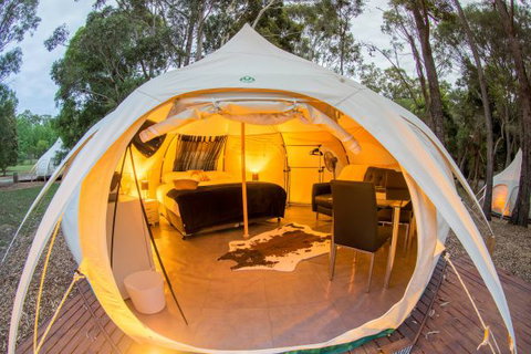 Yarra Valley Park Lane Glamping Belle Tents - Grafton Accommodation 5