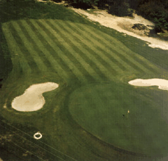 Emerald Golf And Country Resort - Grafton Accommodation 1