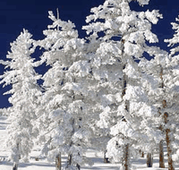 Mt Buller Apartment Management Services