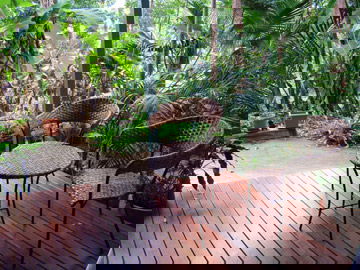 Abbazia Rainforest Studio - Grafton Accommodation 3