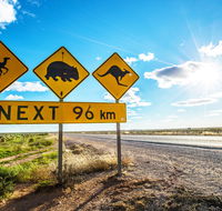 Nullarbor Roadhouse - Grafton Accommodation