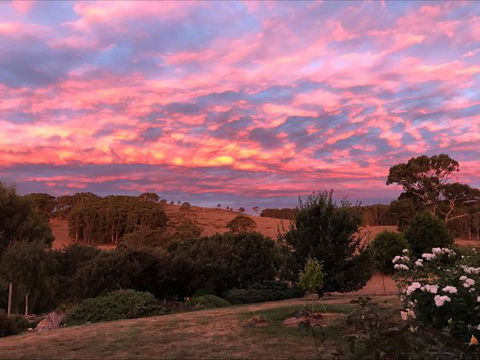 Avaleigh Elms Farmstay - Grafton Accommodation 5