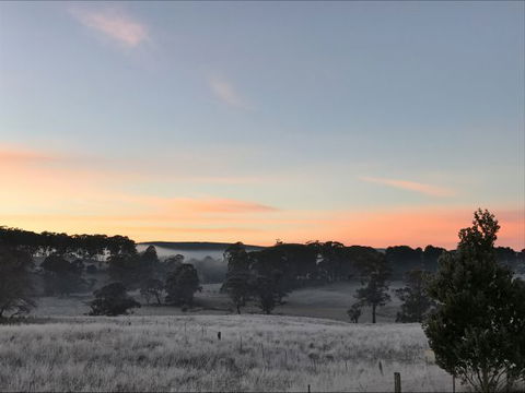 Avaleigh Elms Farmstay - Grafton Accommodation 8