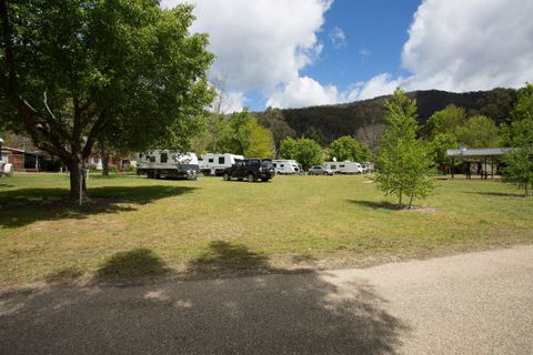 Bright Freeburgh Caravan Park - Grafton Accommodation 0