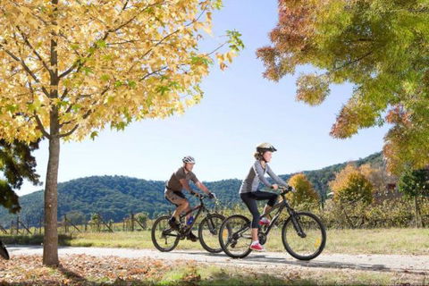 Bright Freeburgh Caravan Park - Grafton Accommodation 1